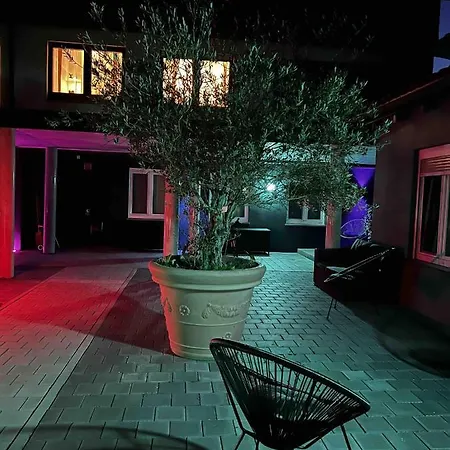 Bodenseesuite In פרידריכסהאפן